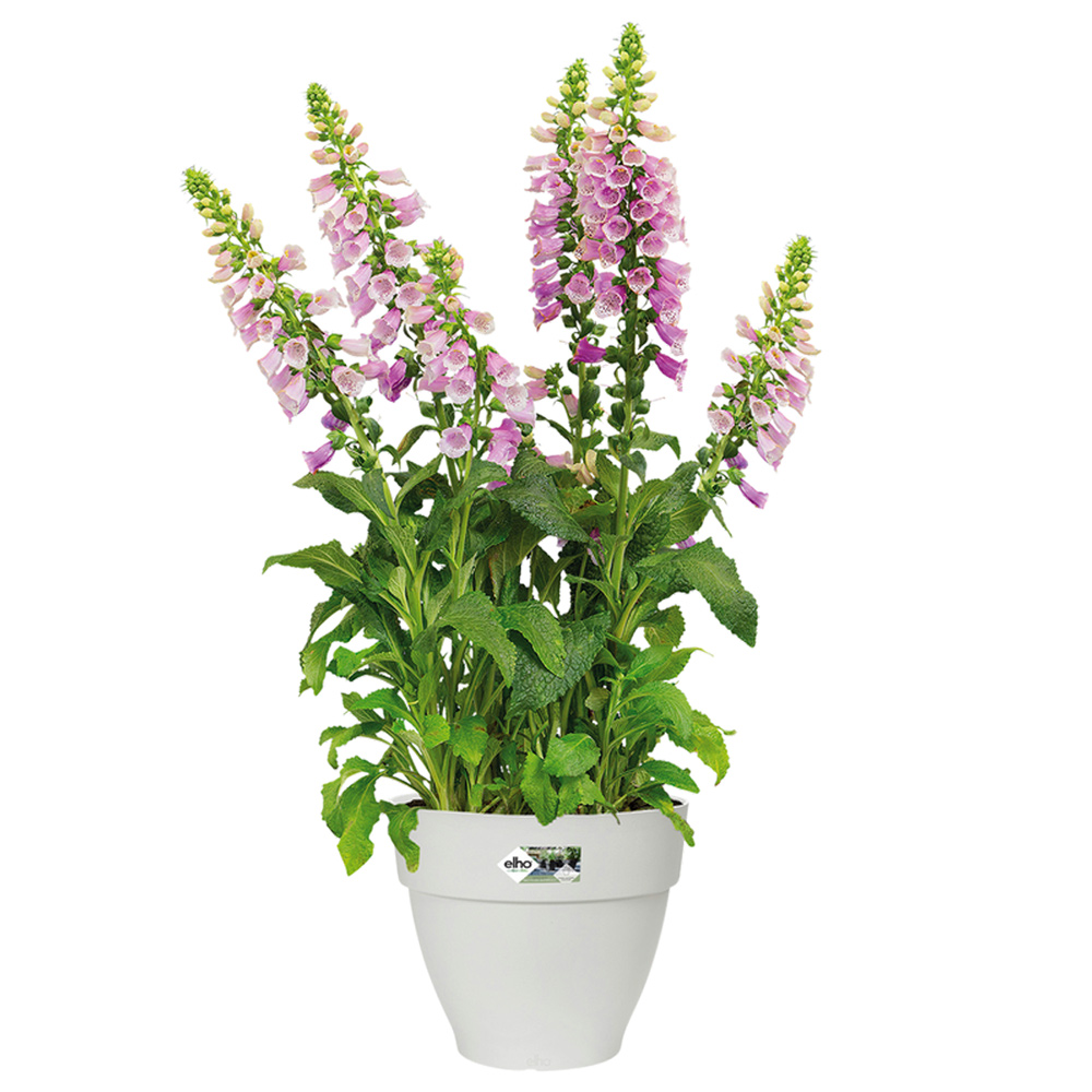 Casaria Deuba® Blumentopf Weiß 20x17cm 3,2L