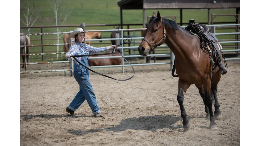 Heartland - Paradies für Pferde - Staffel 13 (Neuauflage)  [4 DVDs]
