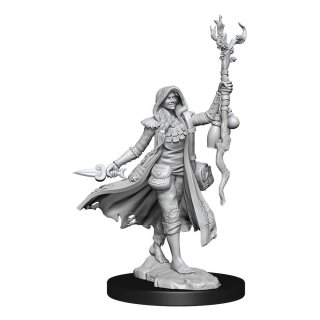 D&D Frameworks: Human Druid Female