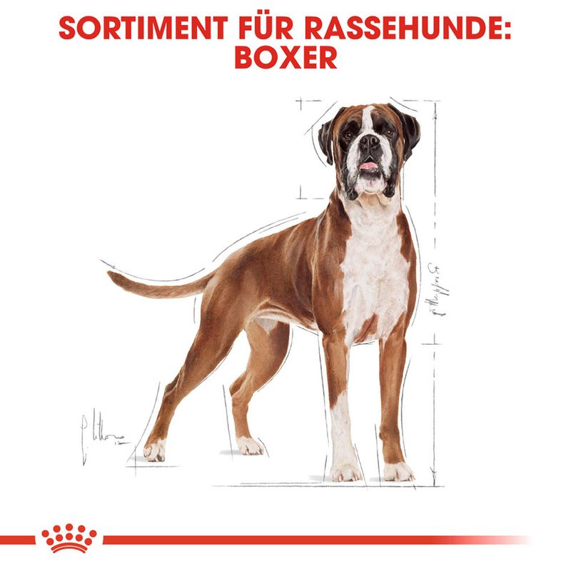 Royal Canin Boxer Adult