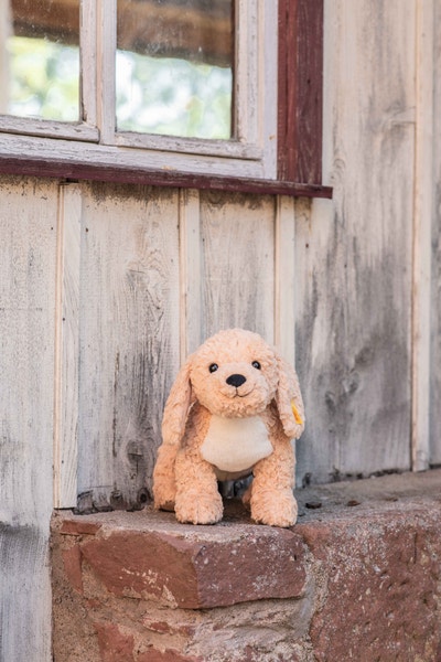 Berno Goldendoodle, 36 cm, beige