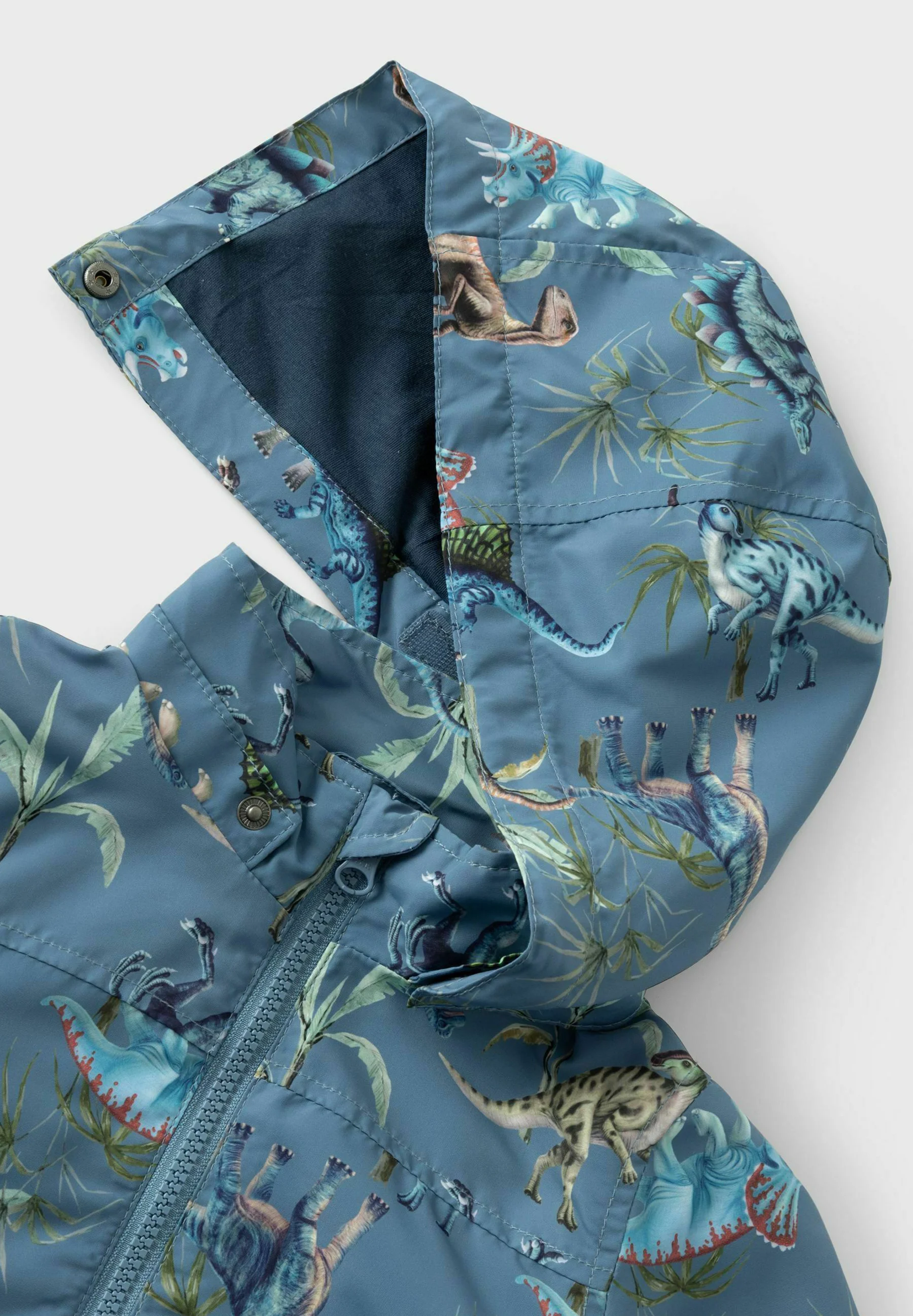 Nómbralo DINOSAURIER - Chaqueta de entretiempo