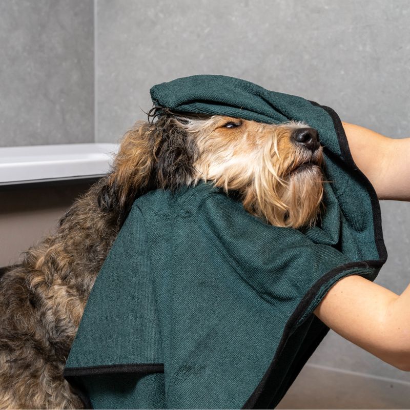 kooa Deluxe Mikrofaser Hundehandtuch zu TOP-Preisen