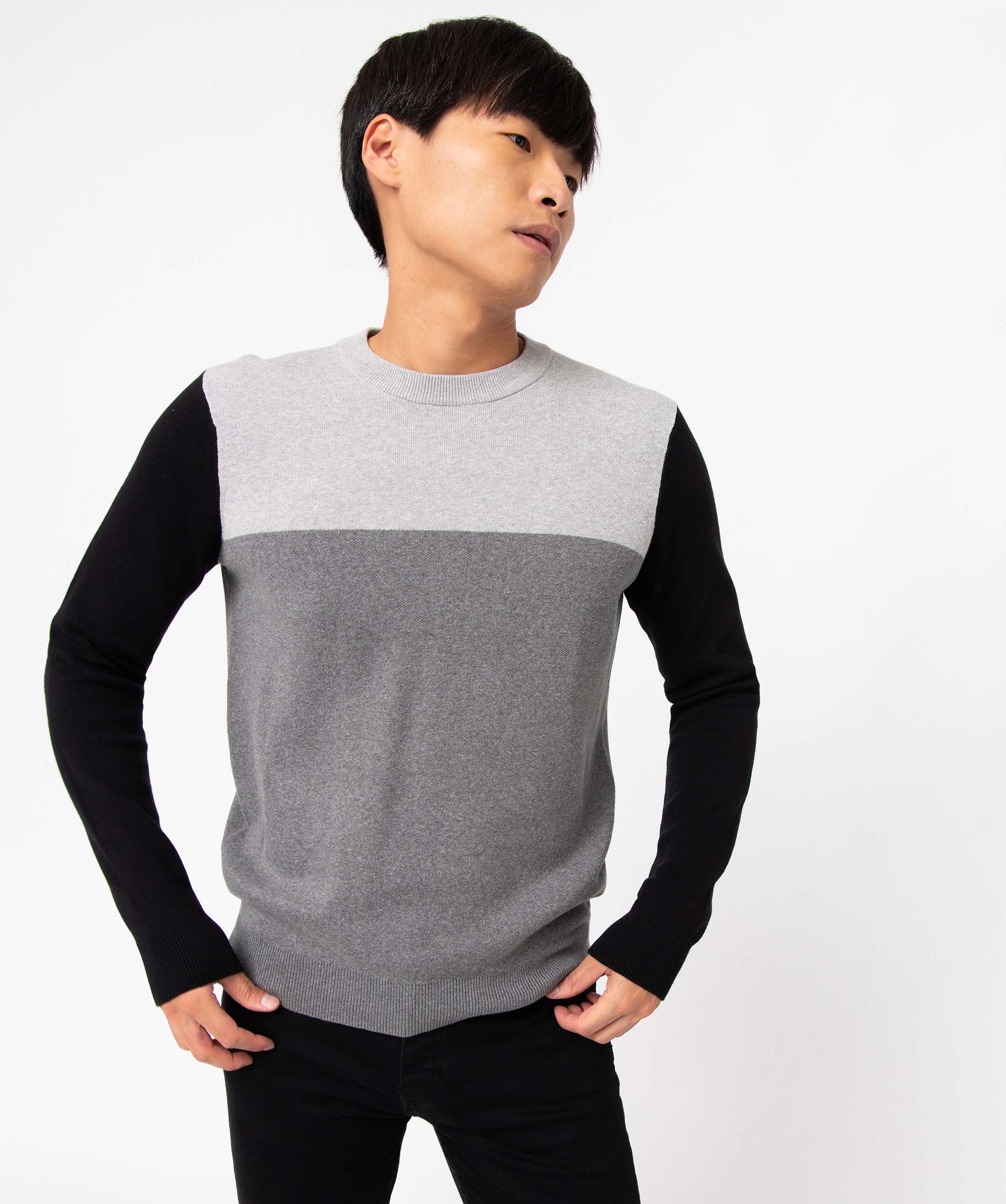 Pull homme tricolore en coton gris fonce | GEMO