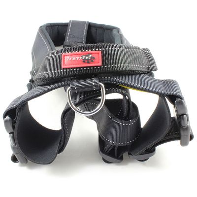 PatentoPet® Sport Geschirr & Leine, schwarz