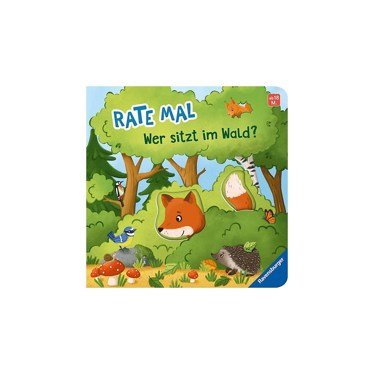 Rate mal: Wer sitzt im Wald