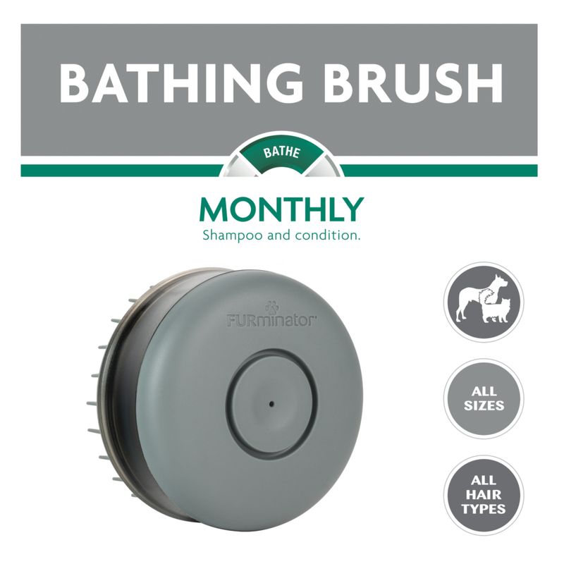 FURminator Bathing Brush zu TOP-Preisen % | bitiba