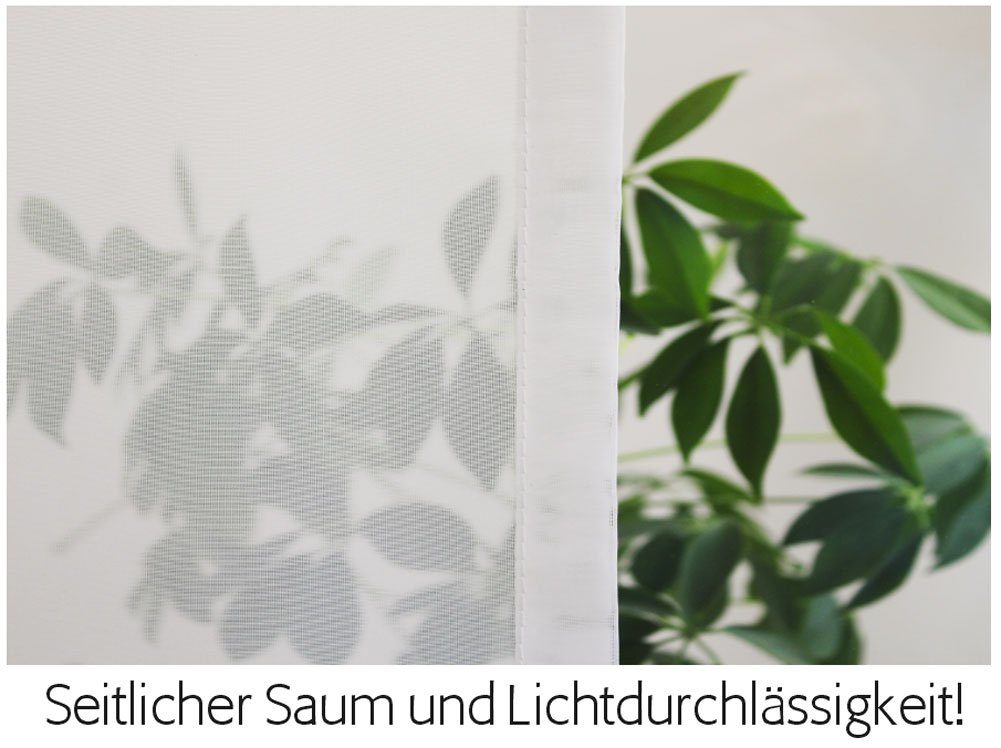 Scheibengardine Scheibenhänger spitz Mandeltraum, Voile Transparent, aus Feiner Voile, gardinen-for-life