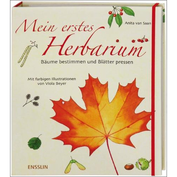 Mein erstes Herbarium - Bäume bestimmen und Blätter pressen Kinder - Kinderbuch