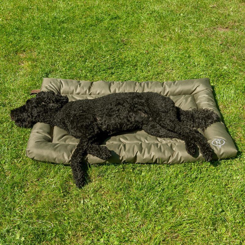 Nomad Tales Spirit Outdoor Hundekissen Pine