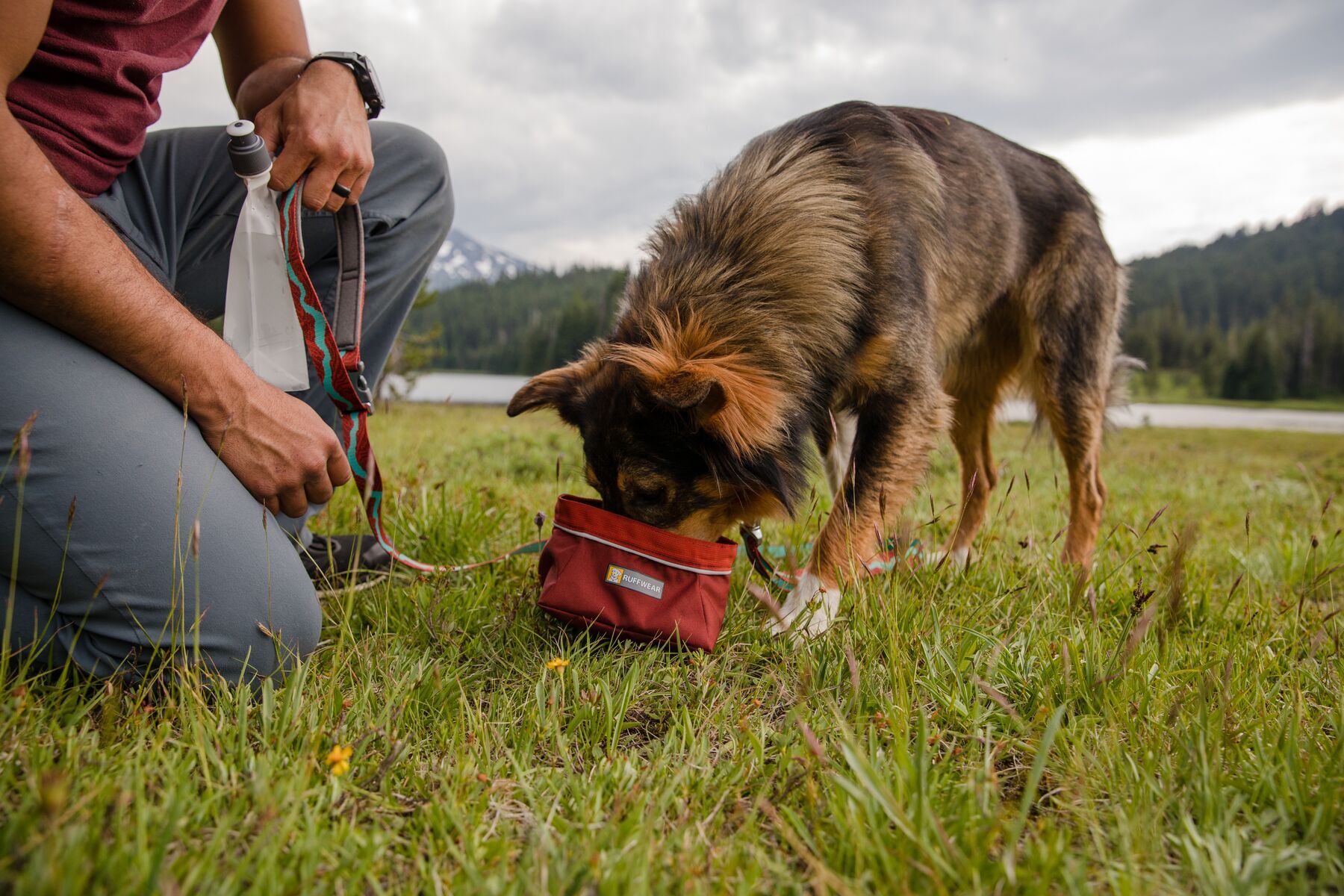 Ruffwear Hundeleinen Ruffwear Flat Out™ Leine blau/ türkis/ rot