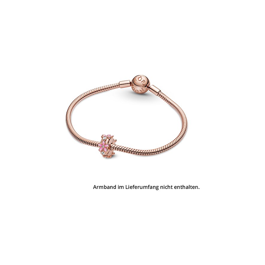 Pandora Charm Moments