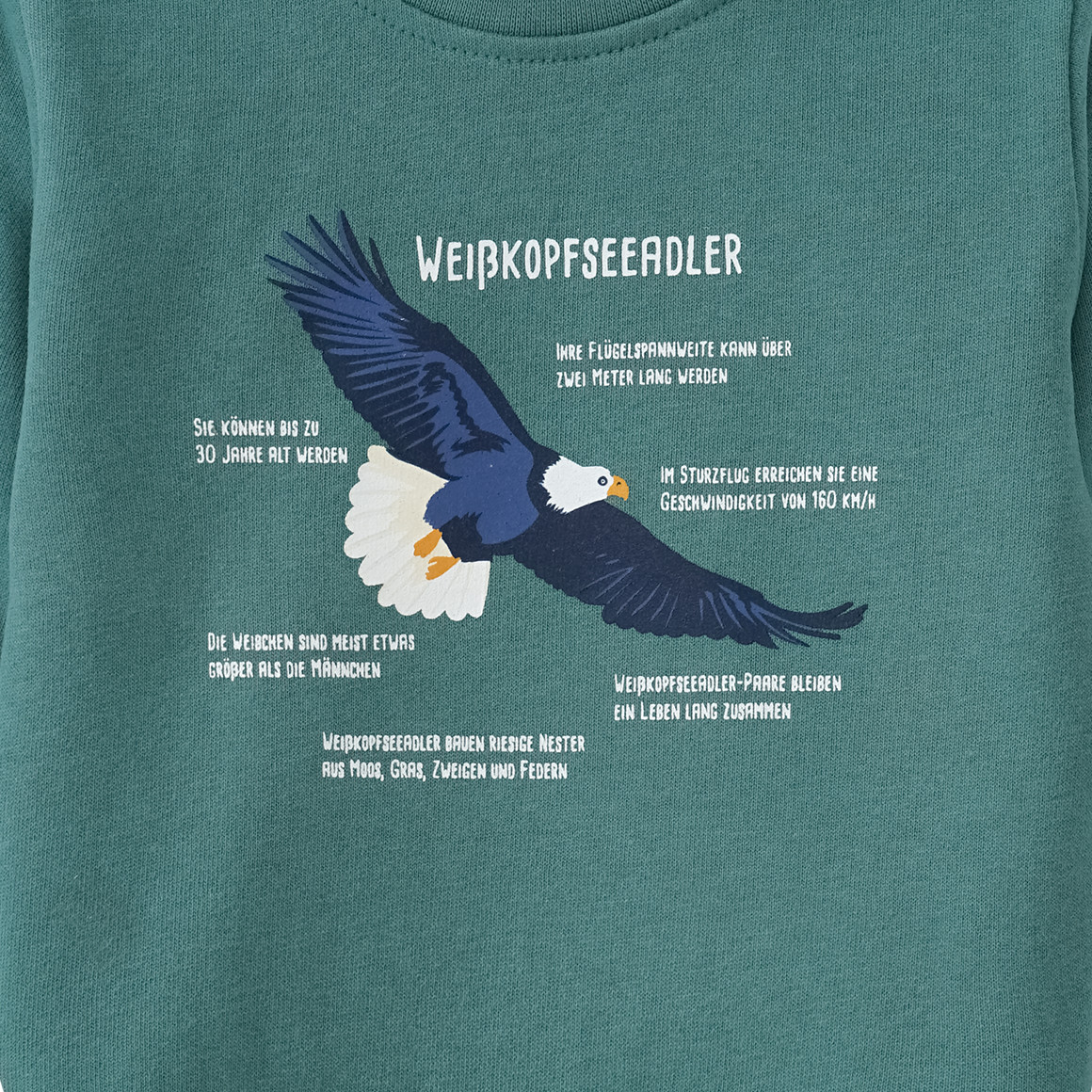 Baby Sweatshirt mit Weißkopfseeadler-Motiv