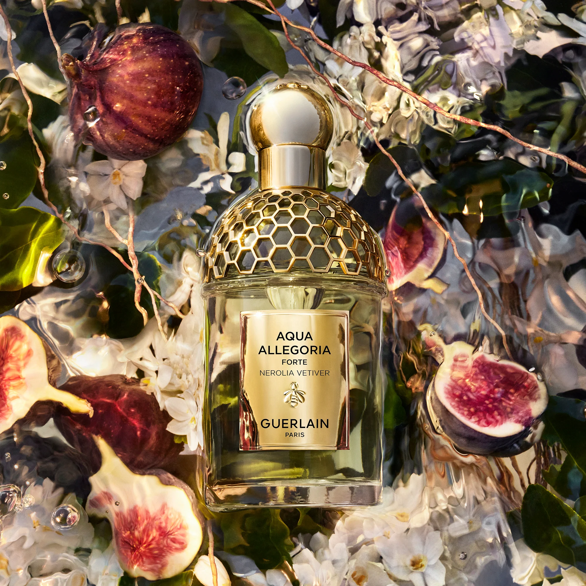 Aqua Allegoria Nerolia Vetiver Forte - Eau de Parfum