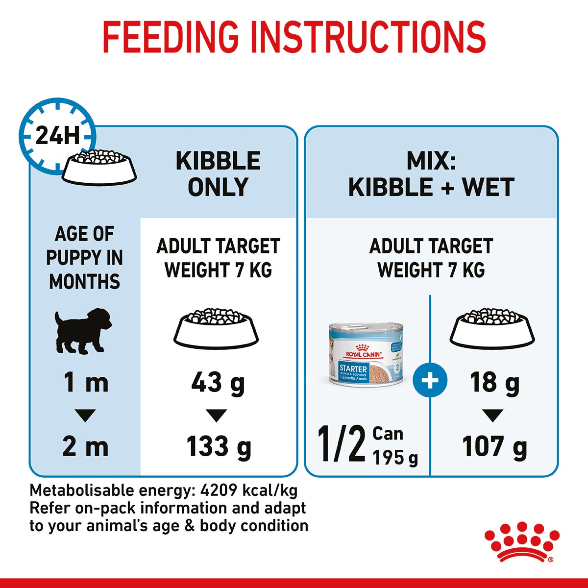 ROYAL CANIN MINI Starter Trockenfutter für tragende Hündinnen und Welpen kleiner Rassen