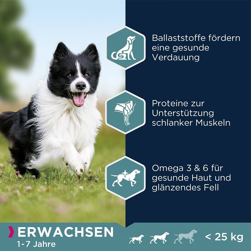 EUKANUBA Hundetrockenfutter EUKANUBA Adult Small & Medium Breed Lamm & Reis 2,5 kg