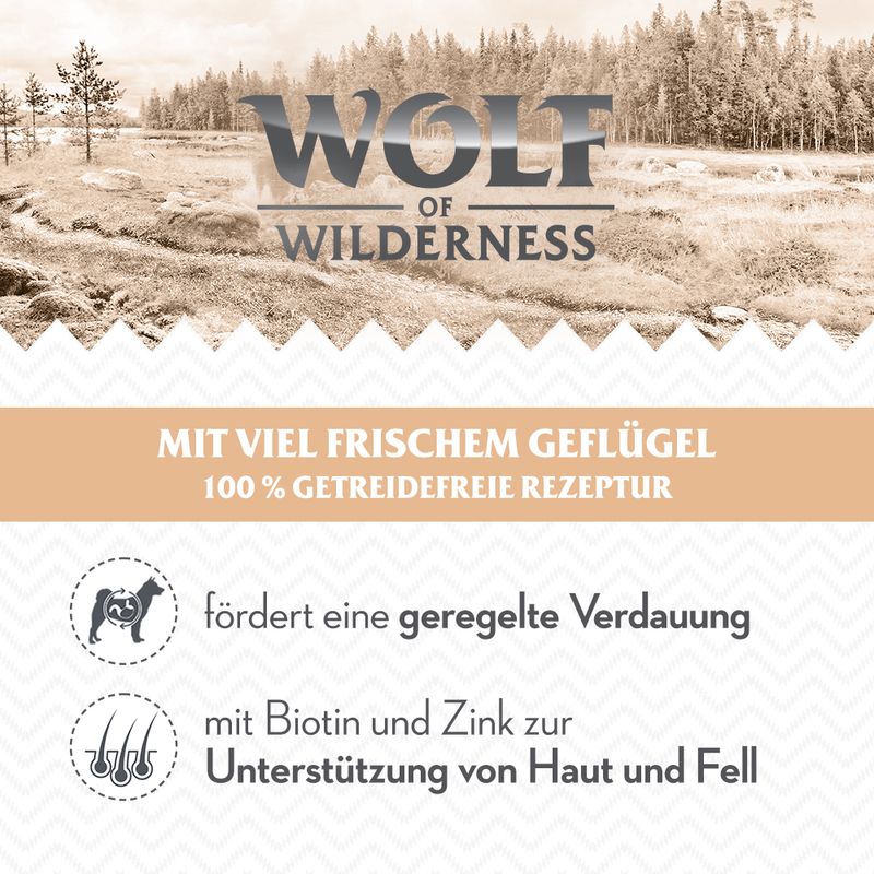 Wolf of Wilderness Junior “Expedition” 6 x 400 g