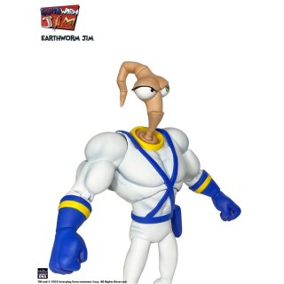 Earthworm Jim Zubehör-Set Wave 1: Worm Body & Jim Heads Accessory Pack