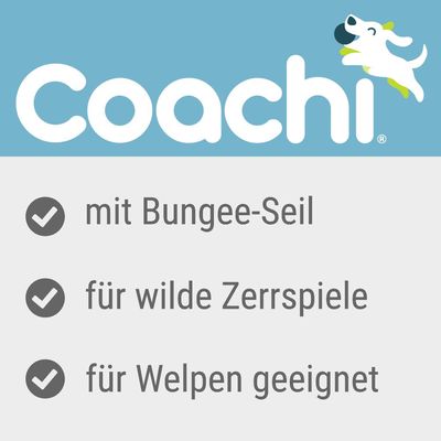 Coachi Hundespielzeug Tuggi Spider