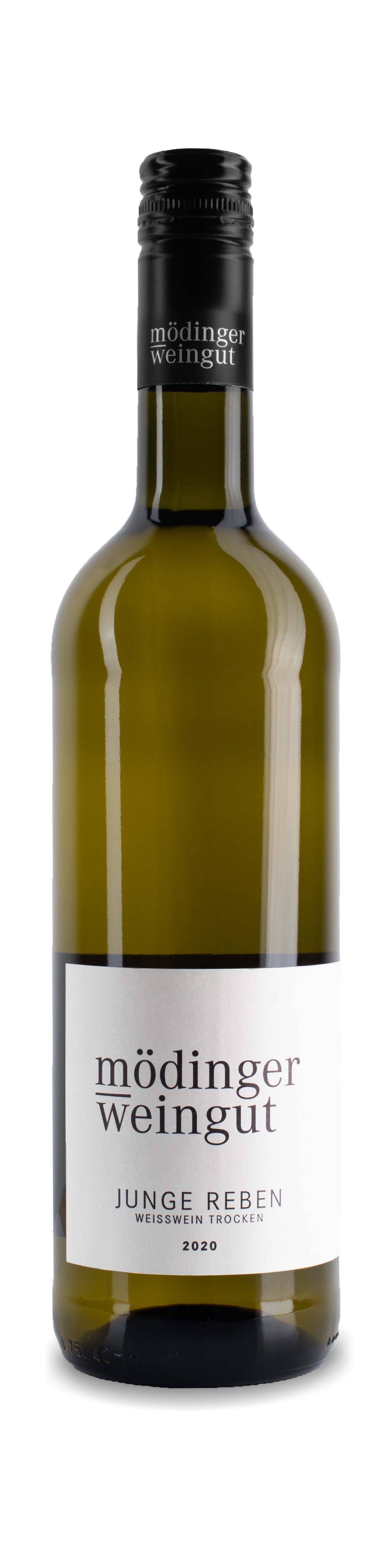 Weingut Mödinger Weißwein Cuveé "Junge Reben" 2022