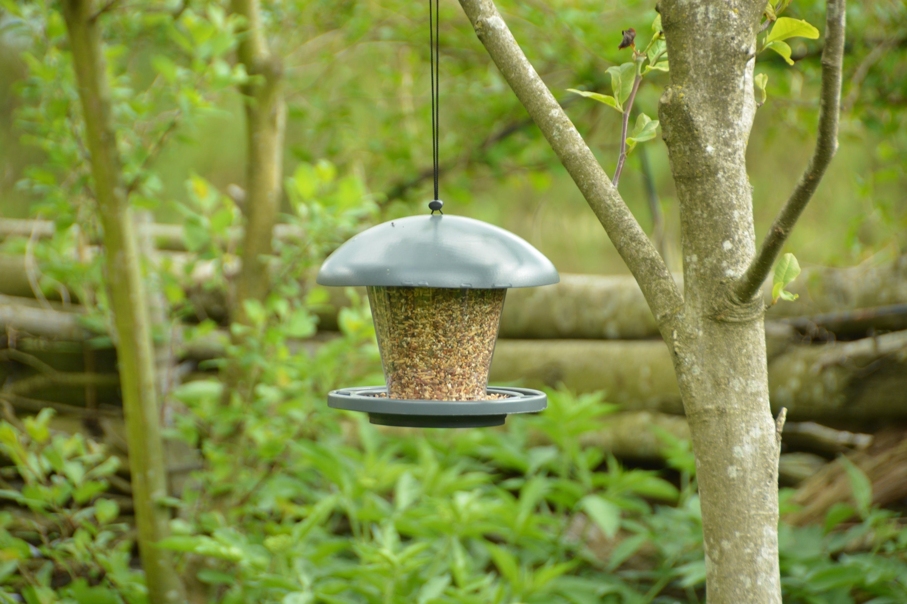 esschert design Nistkasten Esschert Vogel Futter Silo Haus Station Stelle Spender Aufhängen Garten Vögel