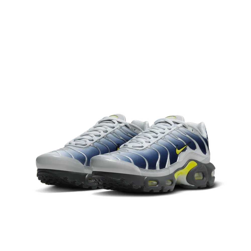 Nike Air Max HF0030-001 / grau