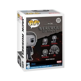 Werewolf By Night POP! Vinyl Figur - Jack Russell