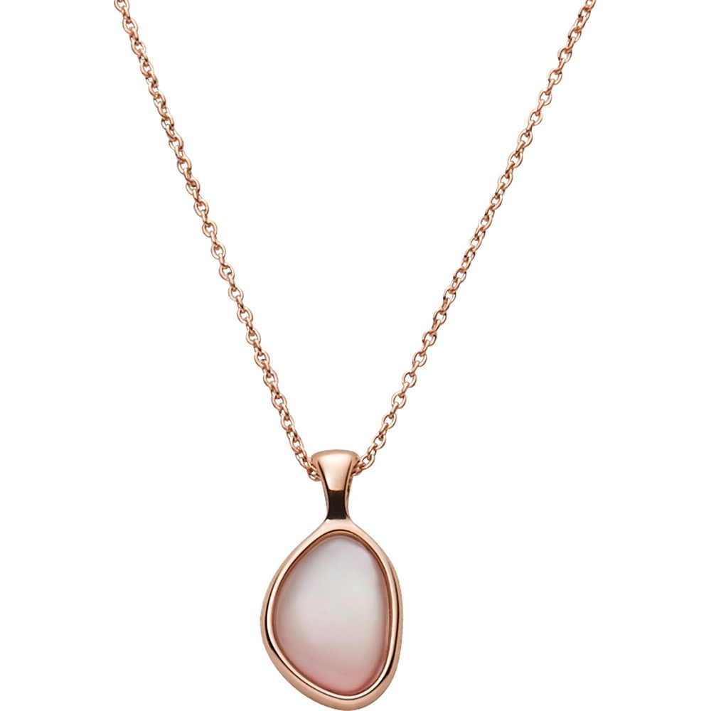 Skagen Chaînette Acier inoxydable collier