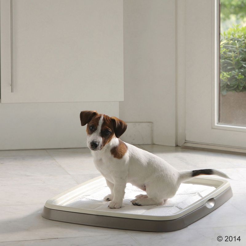 Online kaufen - Produkte für die Hundetoilette bei bitiba.de: Puppy Trainer Starter Set