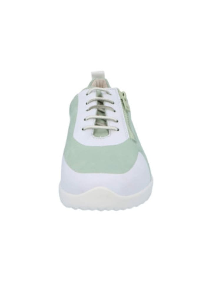Solidus Sneaker für Damen in grün in grün günstig kaufen