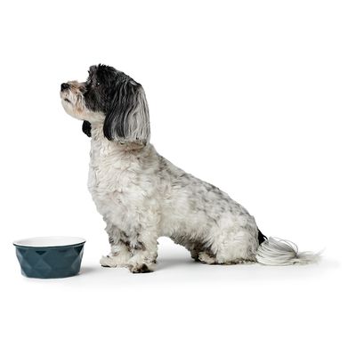 HUNTER Keramik Napf Eiby, blau