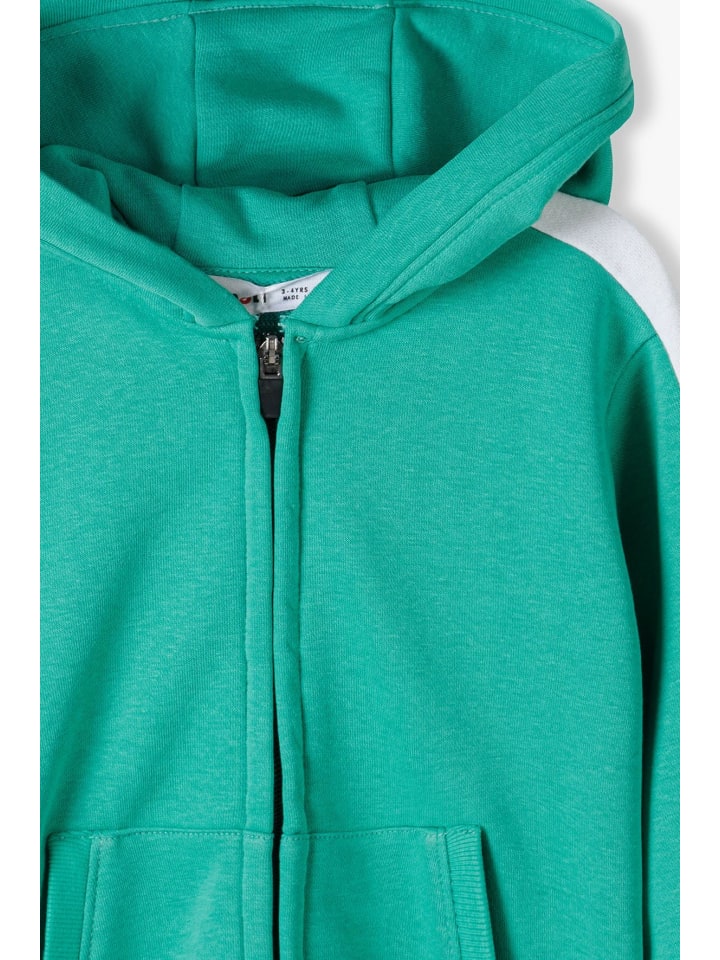 Minoti Sweatjacken 13fleece 1 in grün günstig kaufen