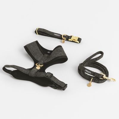 Nomad Tales Calma Hundeleine, ebony
