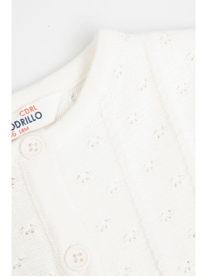 Coccodrillo Strickjacke in ecru günstig kaufen