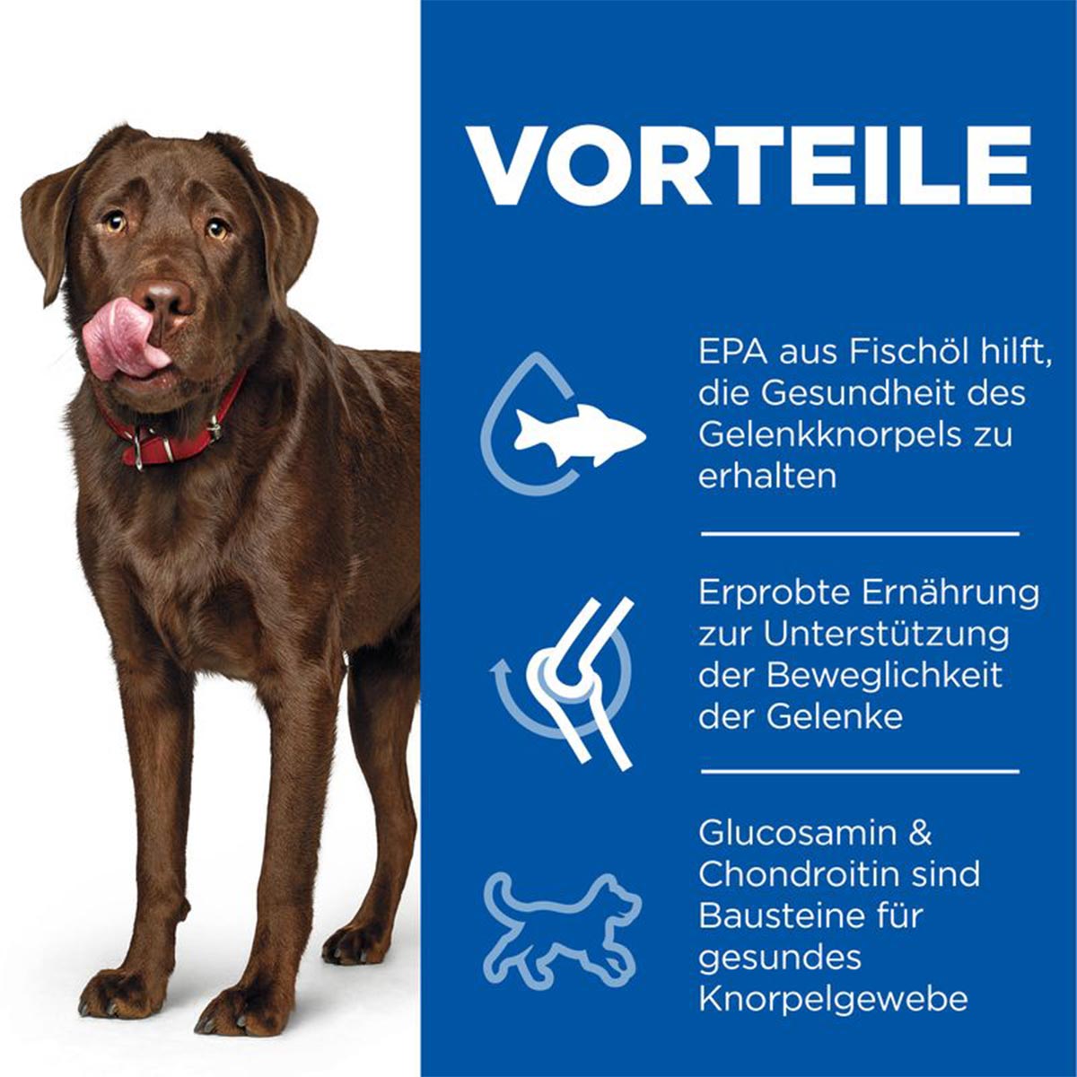 Hill's Science Plan Healthy Mobility large Huhn 14kg bei ZooRoyal
