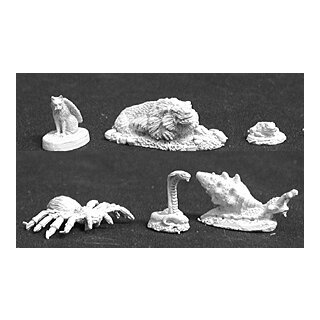 Familiar Pack III (6 Stk.) (REA02593)