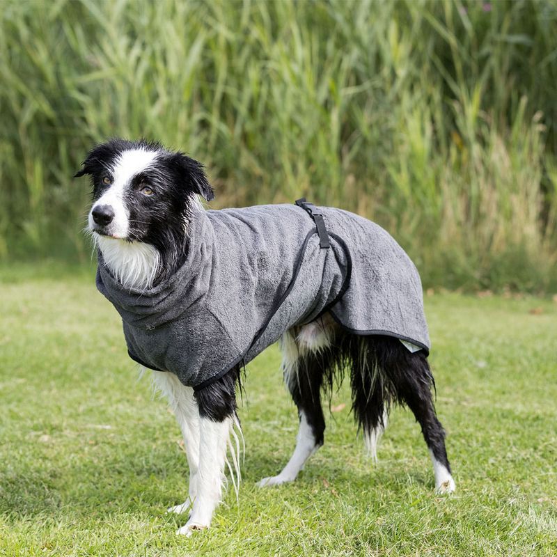 Trixie Bademantel für Hunde zu TOP-Preisen