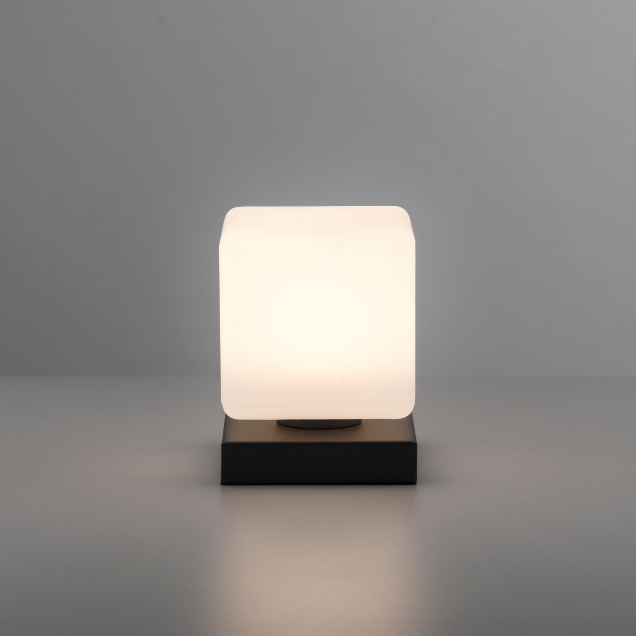Paul Neuhaus LED Tischleuchte DADOA, 1x LED-Board/5Watt/3000K, Innenleuchte, IP20, 3-Stufen-Touchdimmer