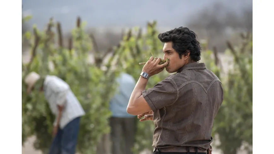 NARCOS: MEXICO - Staffel 1  [4 DVDs]