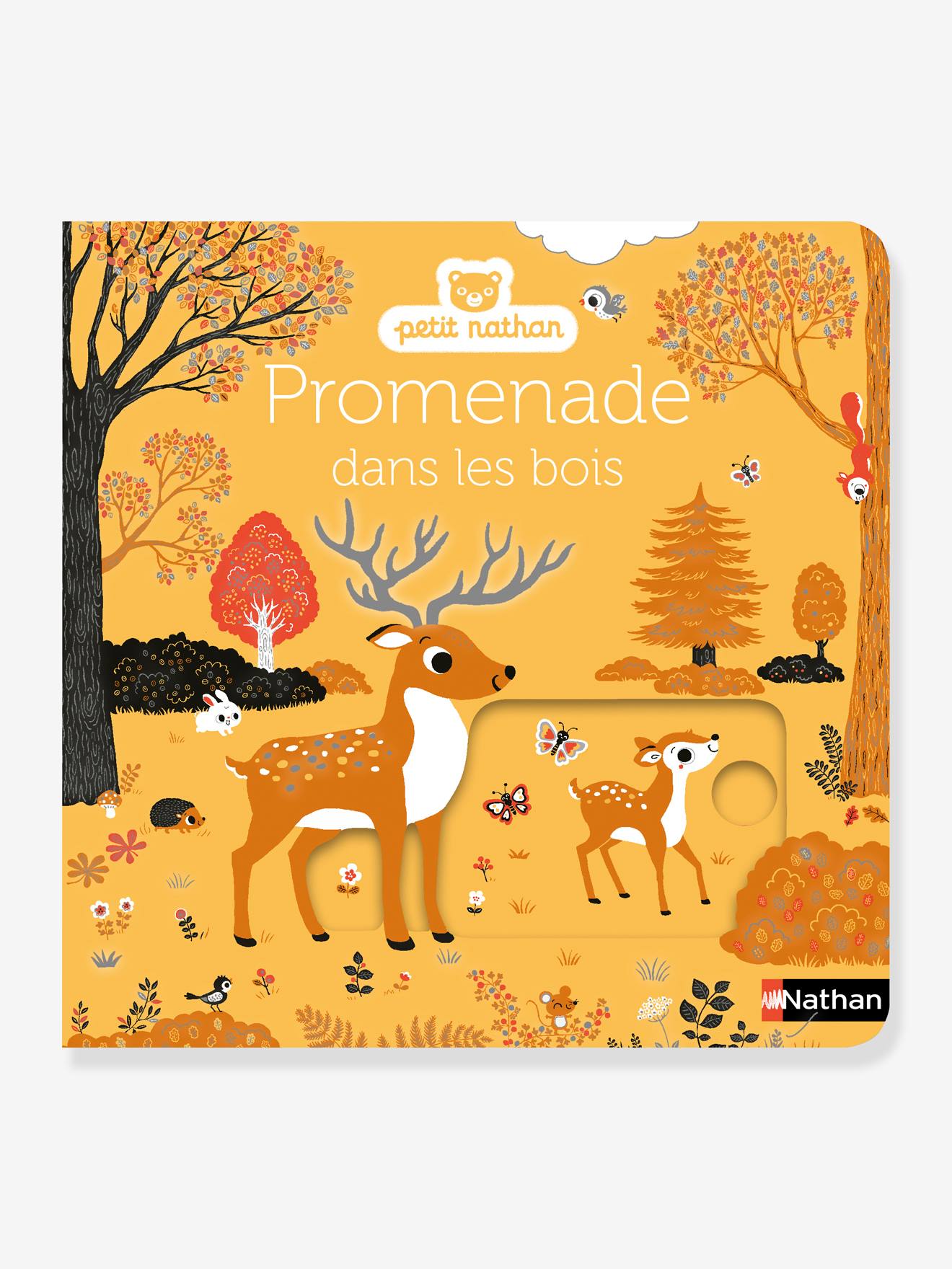 Promenade dans les bois