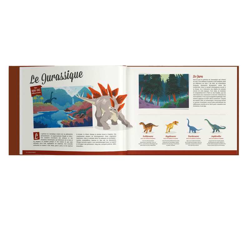 Livre Cherche et Trouve Dinosaures - Quelle histoire