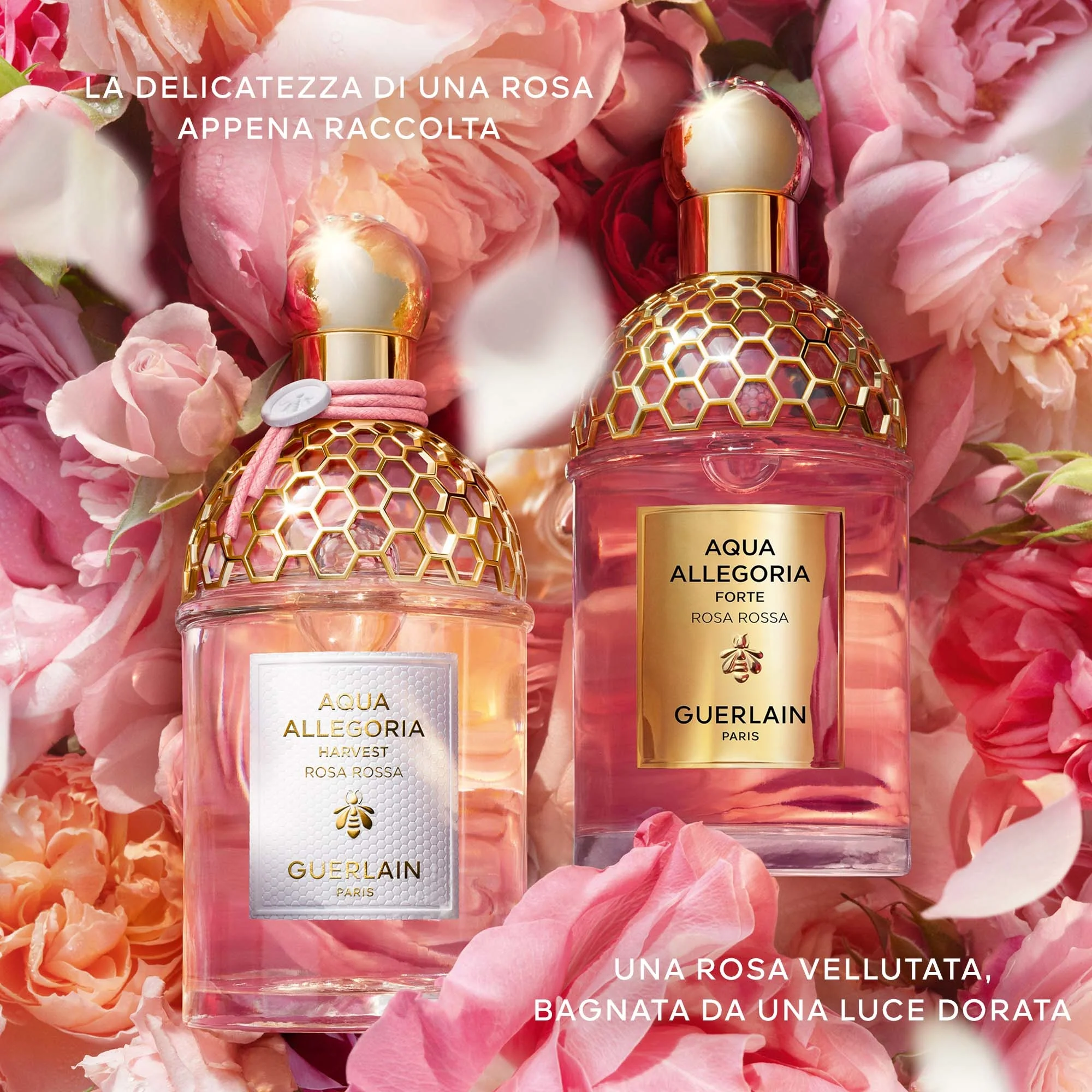 Aqua Allegoria Rosa Rossa Harvest - Eau de Toilette