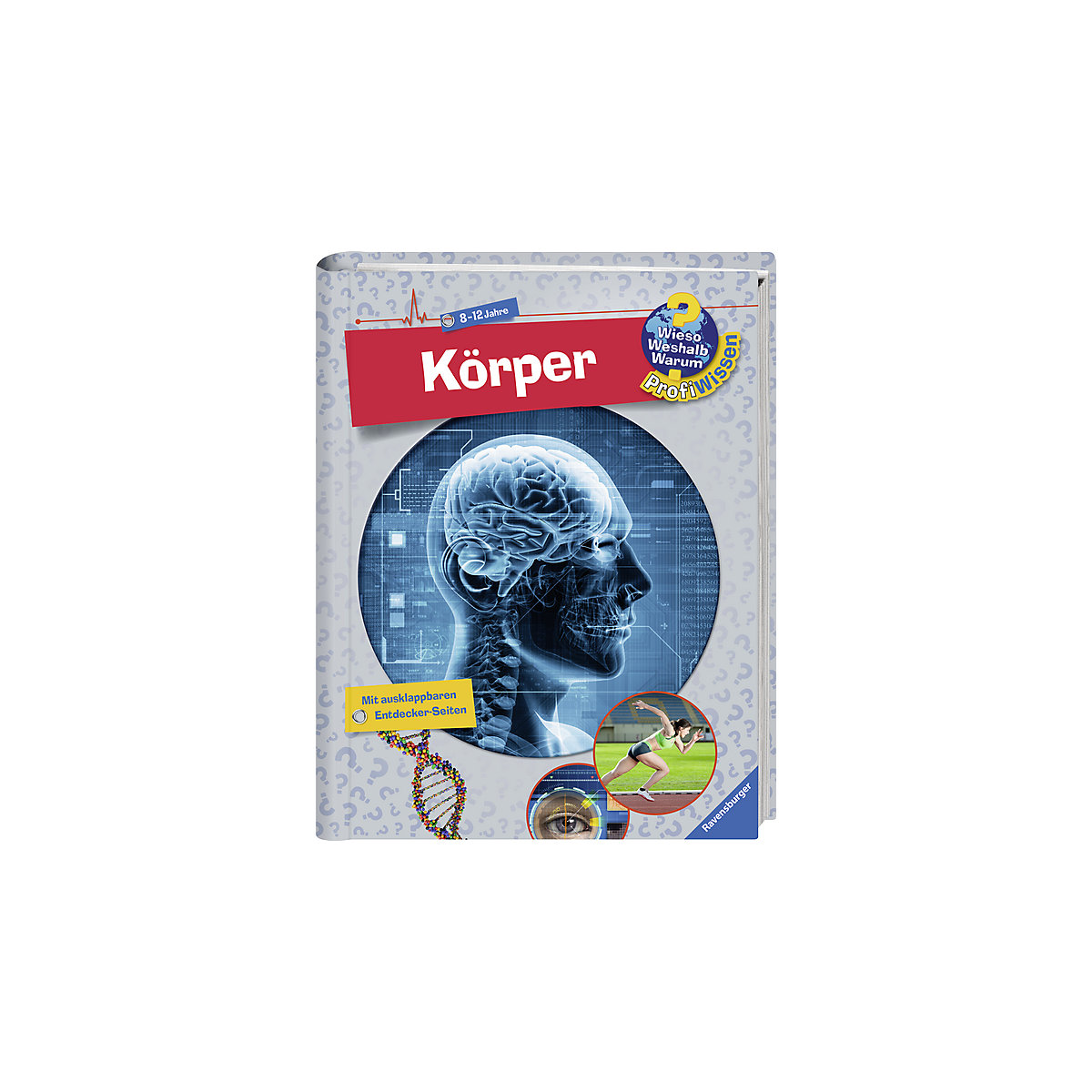 WWW Profiwissen Körper