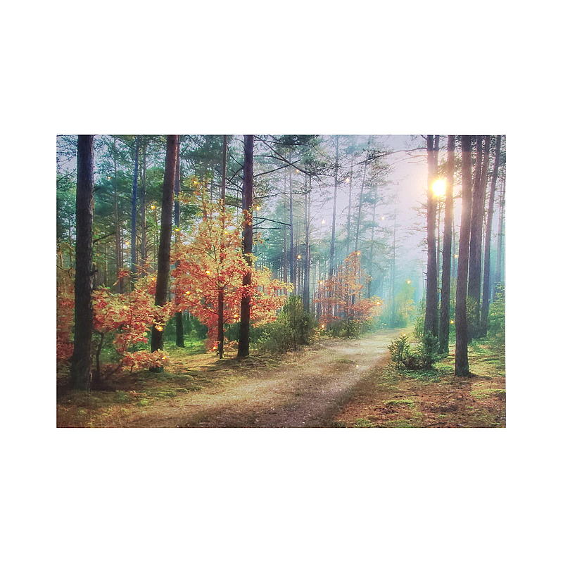 Home Canvasbilde 38x58 cm LED/fiberoptik Autumn