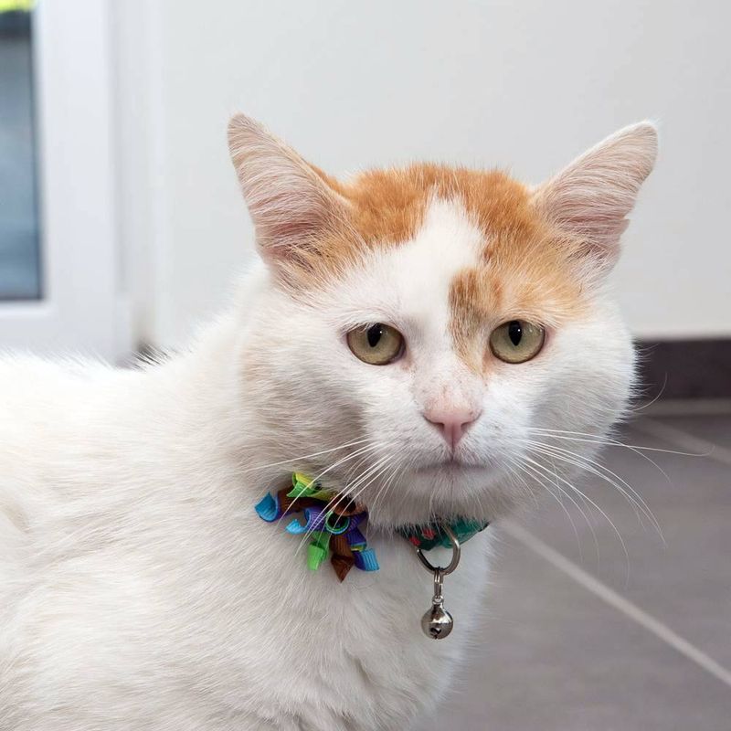 TIAKI Katzenhalsband Sushi zu TOP-Preisen