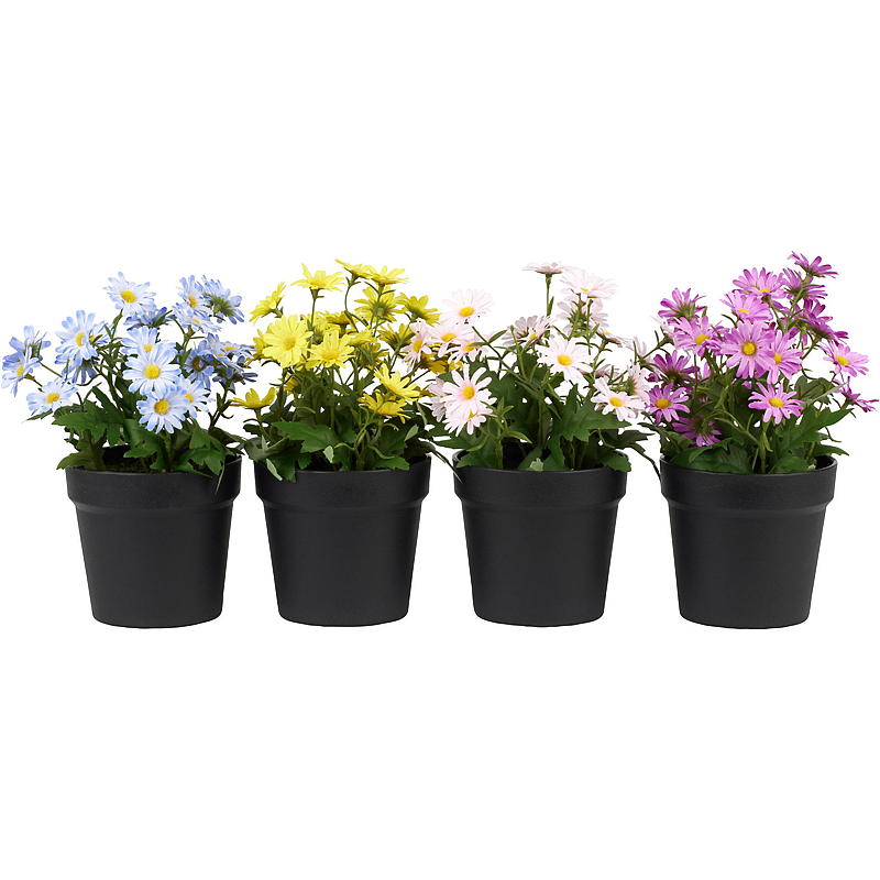 Home Margeritt 27 cm