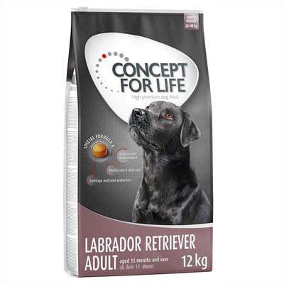 Sparpaket Concept for Life 2 x Großgebinde