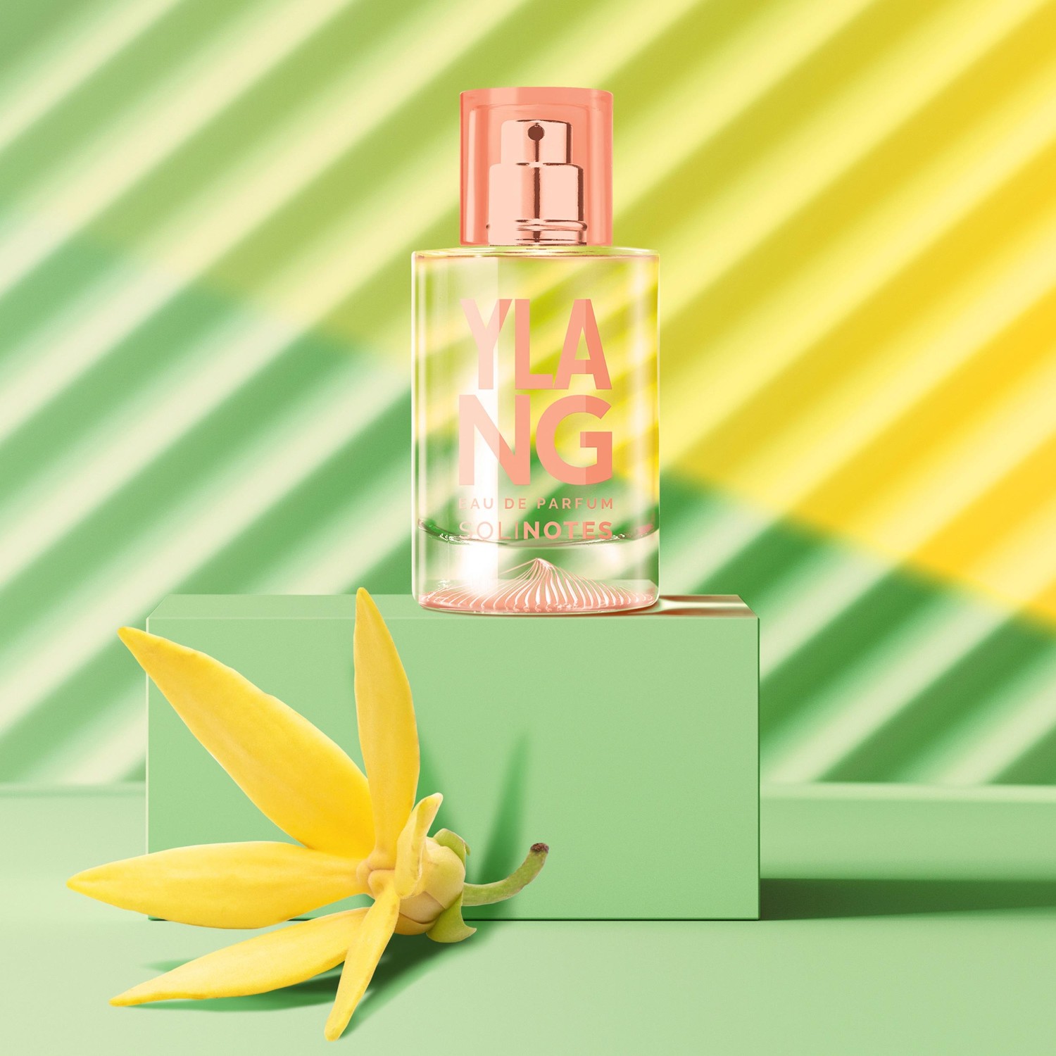 SOLINOTES Ylang