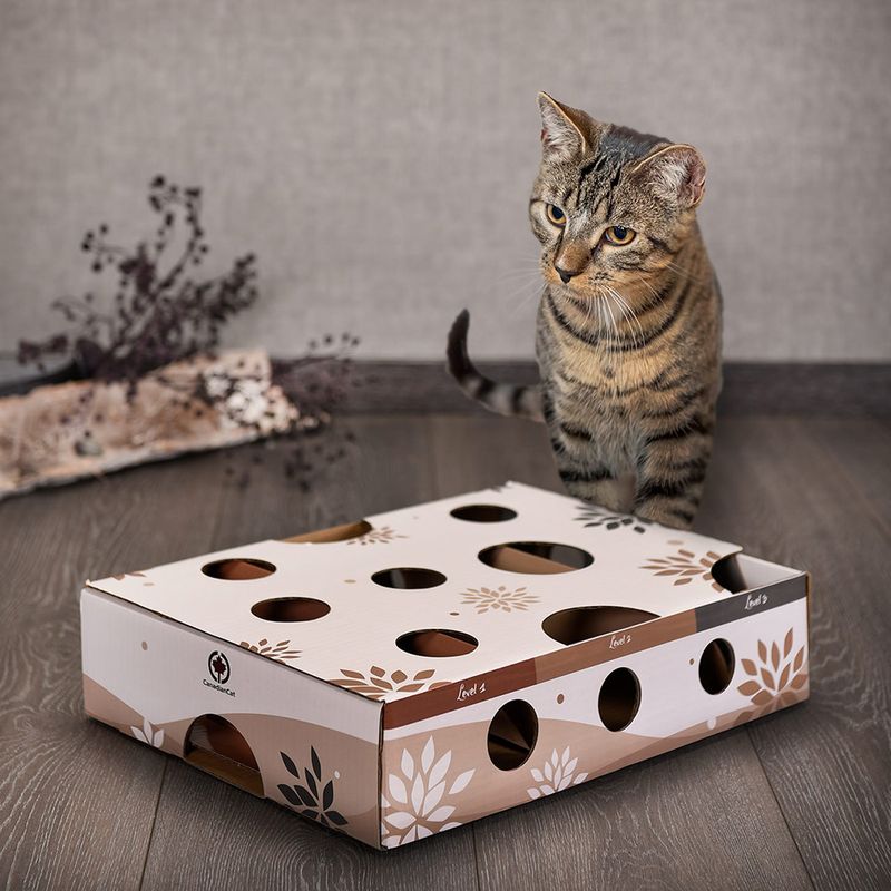 CanadianCat Company Intelligenzspielzeug MagicBox