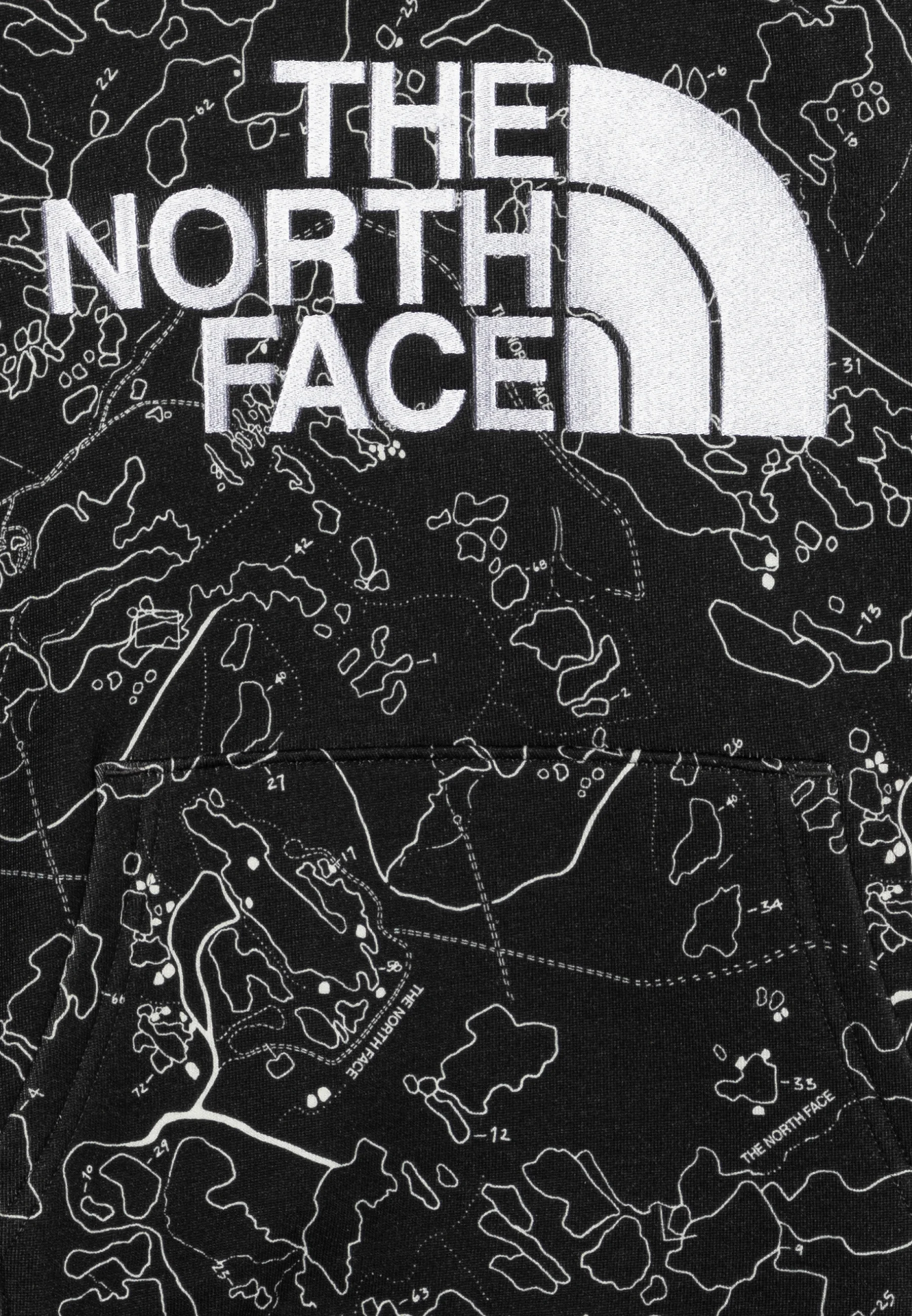 Sudadera con capucha y estampado Drew Peak de The North Face, unisex